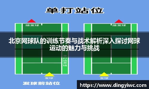 北京网球队的训练节奏与战术解析深入探讨网球运动的魅力与挑战